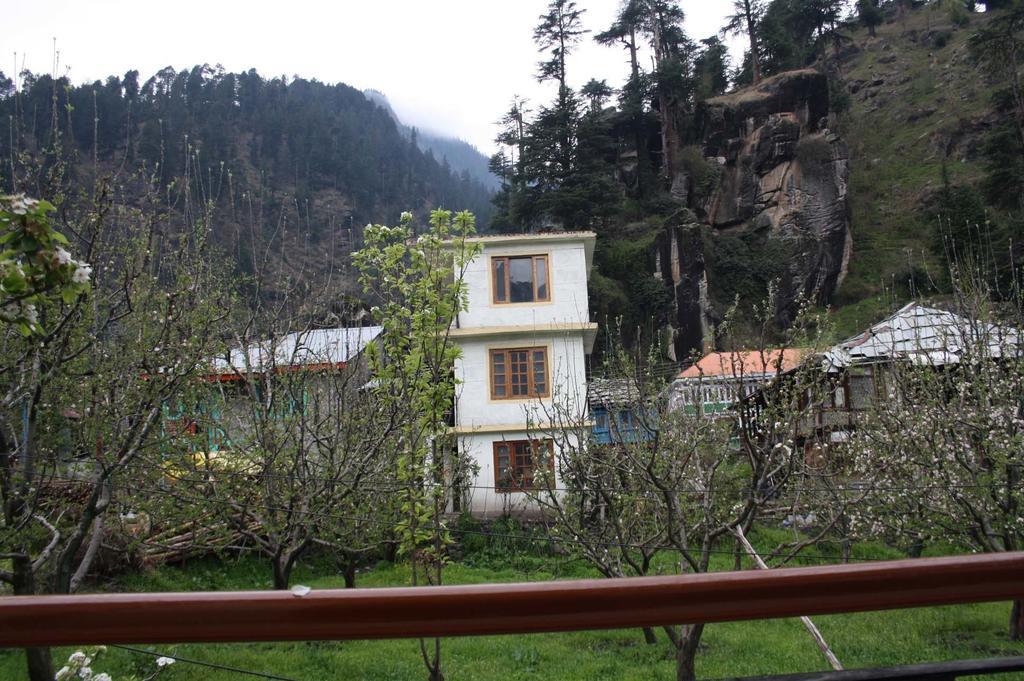 Simsa View Cottage - Manali (Himachal Pradesh) — Photos 1